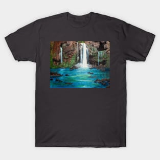 The Concealed Oasis T-Shirt